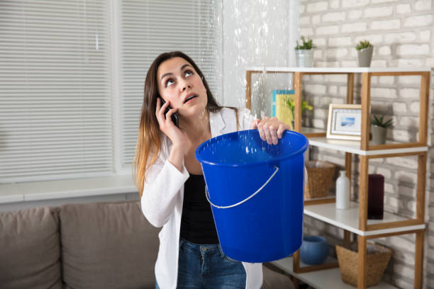 Signes avant-coureurs de fuites d’eau dans votre maison