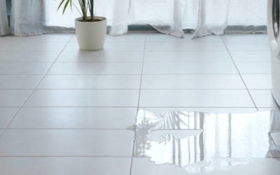 Conseils pour la détection des fuites dans les salles de bains