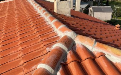 Quel est le coût moyen de la réparation d’une fuite de toiture à Lyon ?
