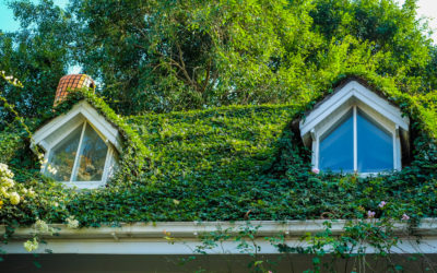 Comment la végétalisation des toits affecte-t-elle les risques de fuites à Lyon ?