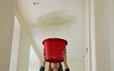 La caméra thermique est-elle fiable pour la recherche fuite de toiture ?