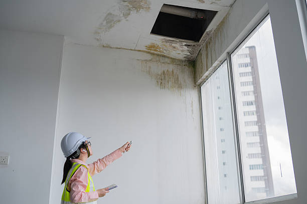 Quelle est la différence entre une recherche fuite de façades et une détection de fuites en toiture ?